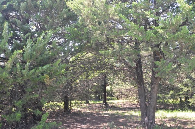 21.543 Acres W FM 120 Highway, Pottsboro, TX 75076