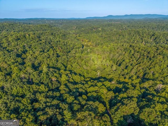 152 Cherry Court, Ellijay, GA 30540