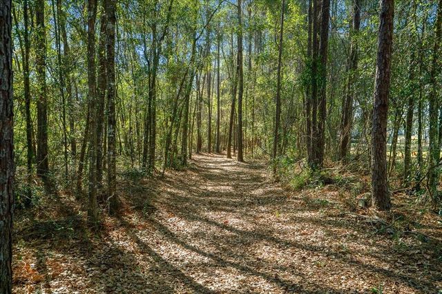 6655 NW 145TH AVENUE ROAD, Morriston, FL 32668