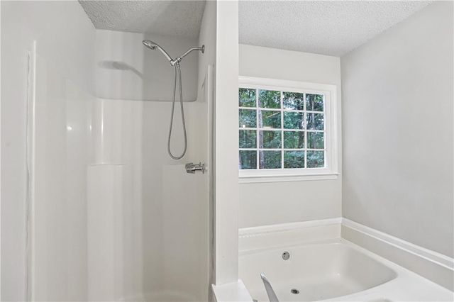 1019 Davis Mill Road S, Dallas, GA 30157
