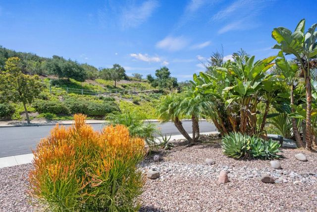 1020 Cima Dr, San Marcos, CA 92078