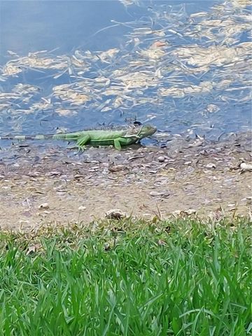 2566 SW 82nd Ave 104, Miramar, FL 33025