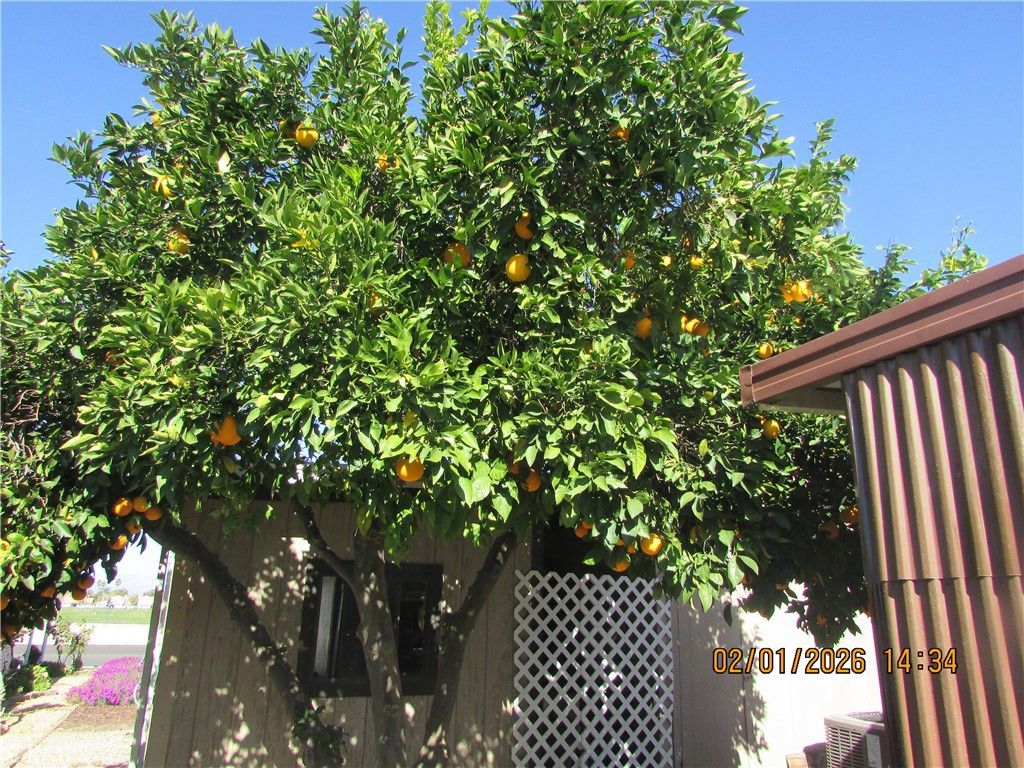 Image 30 of property listing at 601 Kirby Street, Hemet, CA 92545