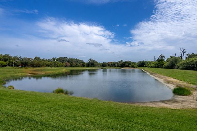 9310 BLUEBERRY ASH CIRCLE, Riverview, FL 33578