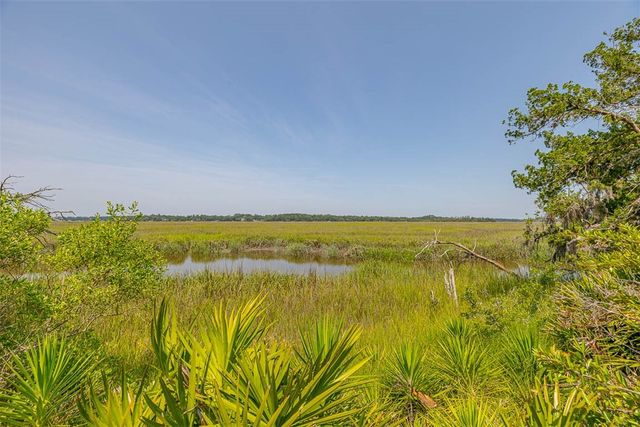 1033 Mayflower Road NE, Townsend, GA 31331