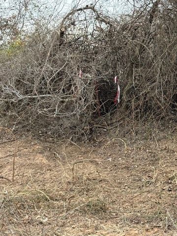 000 TBD Old Garner Road, Garner, TX 76088