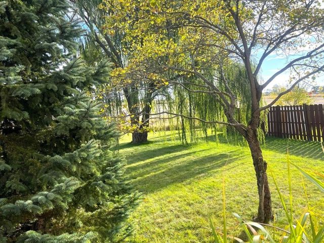 4709 W Iris Lane, Monee, IL 60449