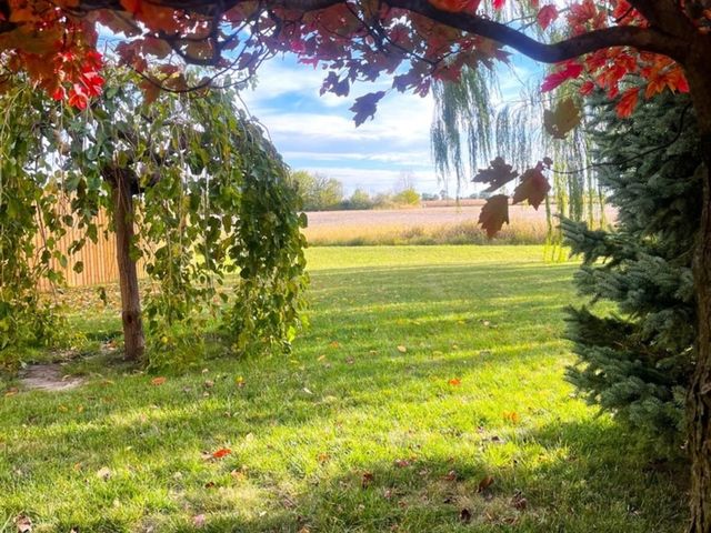 4709 W Iris Lane, Monee, IL 60449