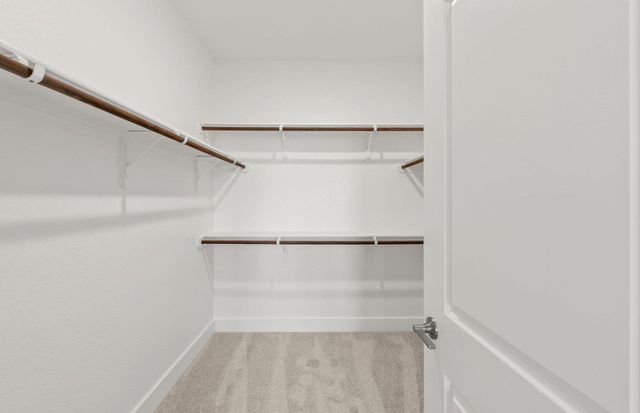 1955 Settlers Glen DR 4402, Round Rock, TX 78665