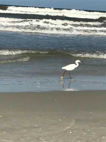 600 CINNAMON BEACH WAY 531, Palm Coast, FL 32137