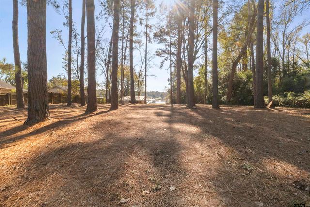 14131 Peninsula, Whitehouse, TX 75791