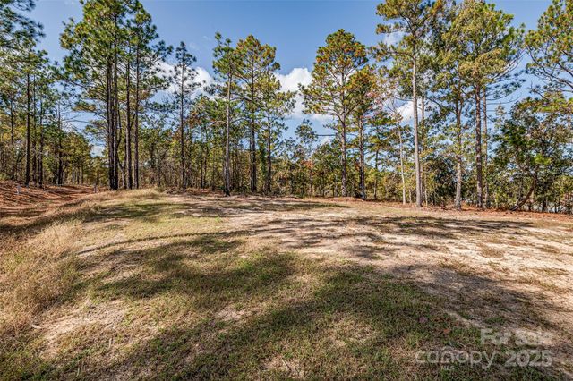 8684 Teals Mill Road, Cheraw, SC 29520