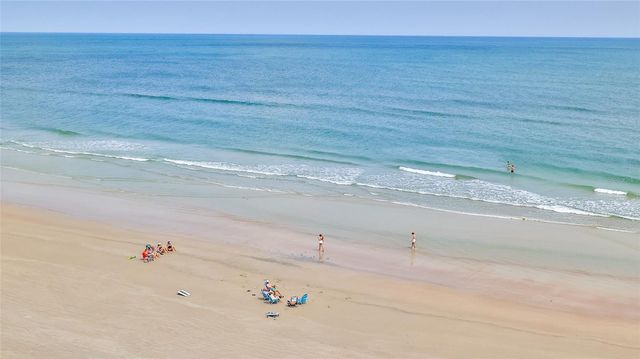 2401 S ATLANTIC AVENUE D306, New Smyrna Beach, FL 32169