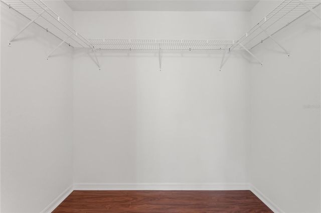 601 ARBOR LAKE LANE 601, Tampa, FL 33602