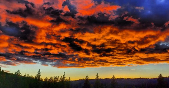 23003 Pleasant Valley Rd, North San Juan, CA 95960