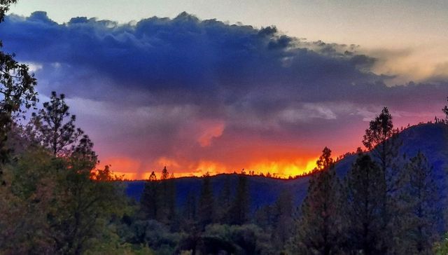 23003 Pleasant Valley Rd, North San Juan, CA 95960