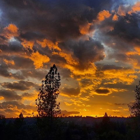 23003 Pleasant Valley Rd, North San Juan, CA 95960