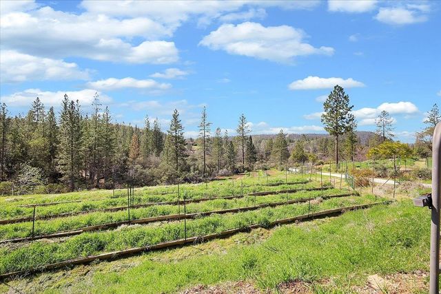 23003 Pleasant Valley Rd, North San Juan, CA 95960