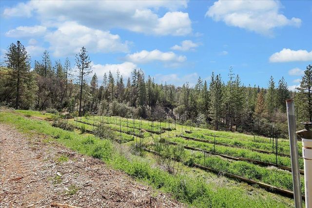 23003 Pleasant Valley Rd, North San Juan, CA 95960