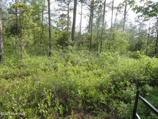 2 River Trail, Burgaw, NC 28425