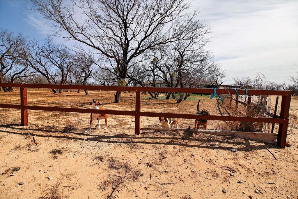 Image 41 of property listing at 9206 Paradise Lane, San Angelo, TX 76901