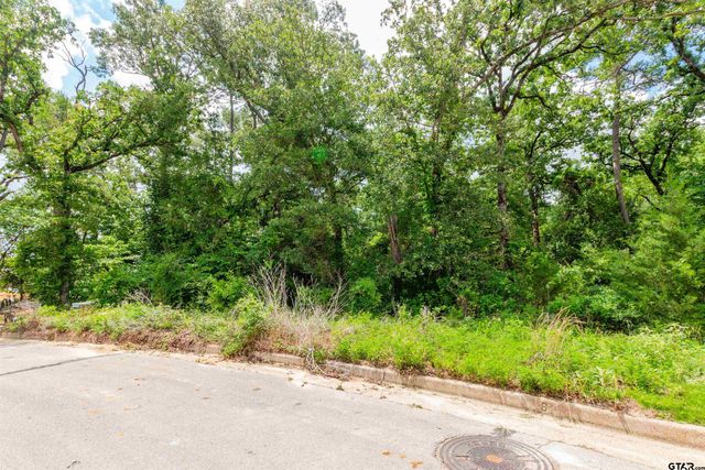 2528 Barrett Ct, Tyler, TX 75703
