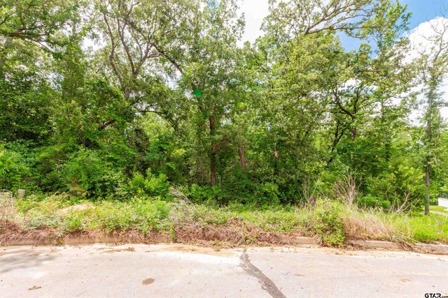 2528 Barrett Ct, Tyler, TX 75703