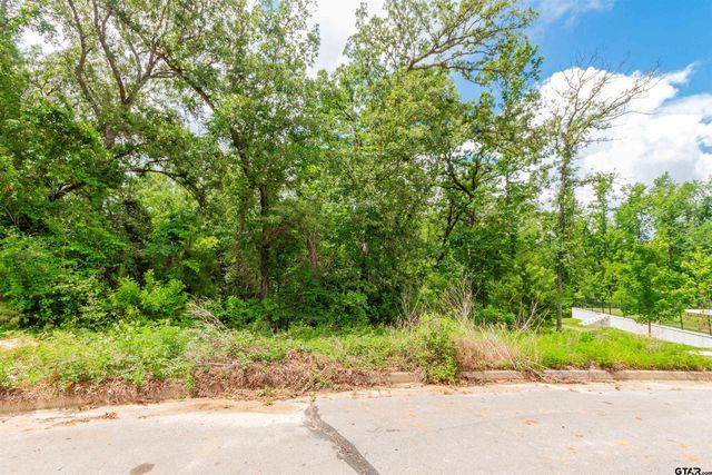 2528 Barrett Ct, Tyler, TX 75703