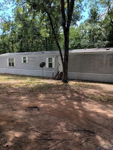 417 W CR 3201, Mount Enterprise, TX 75681