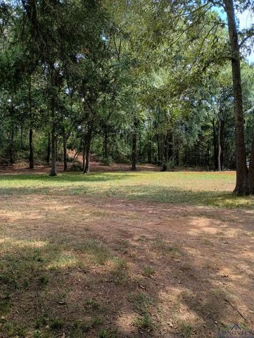 417 W CR 3201, Mount Enterprise, TX 75681