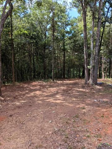 417 W CR 3201, Mount Enterprise, TX 75681