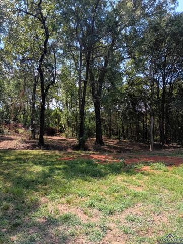 417 W CR 3201, Mount Enterprise, TX 75681