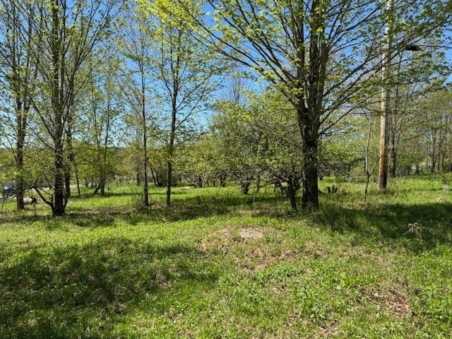 64 Olin Evans Road, Franklin, NY 13775