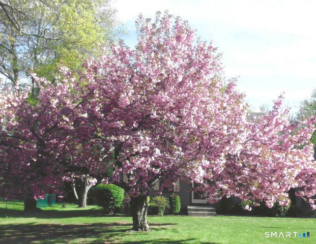 35 Sisk Street, Middletown, CT 06457