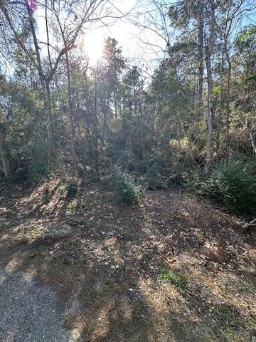 TBD Gazelle, Onalaska, TX 77360