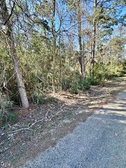 TBD Gazelle, Onalaska, TX 77360