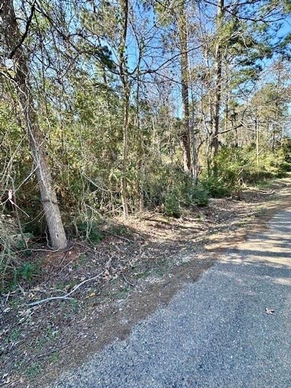 TBD Gazelle, Onalaska, TX 77360