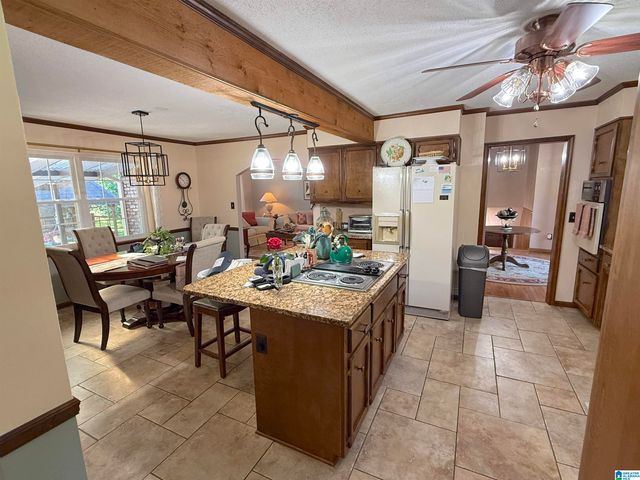 621 PINEVIEW DRIVE, Brookside, AL 35214