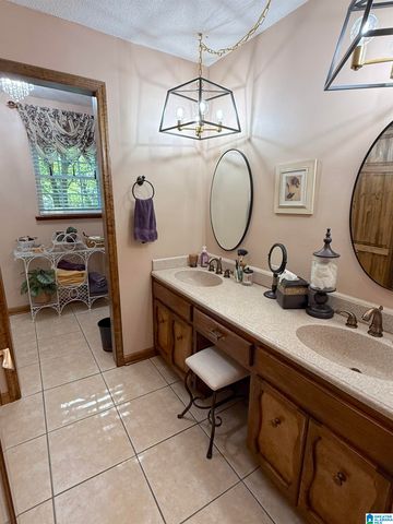 621 PINEVIEW DRIVE, Brookside, AL 35214