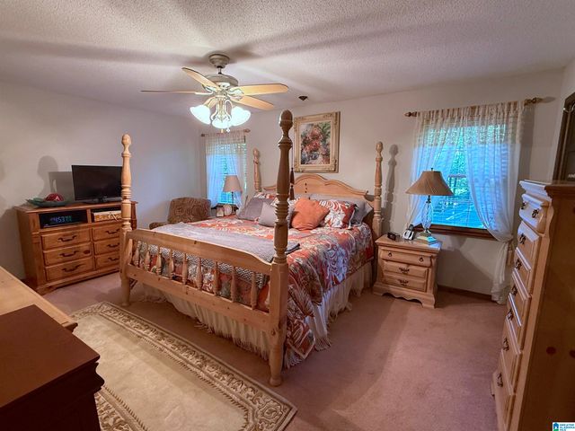 621 PINEVIEW DRIVE, Brookside, AL 35214