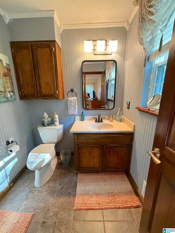 621 PINEVIEW DRIVE, Brookside, AL 35214