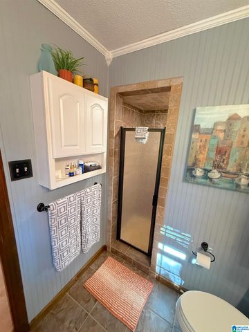 621 PINEVIEW DRIVE, Brookside, AL 35214