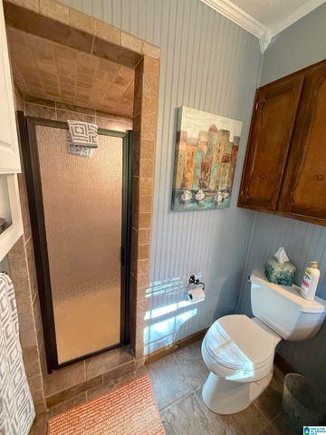 621 PINEVIEW DRIVE, Brookside, AL 35214