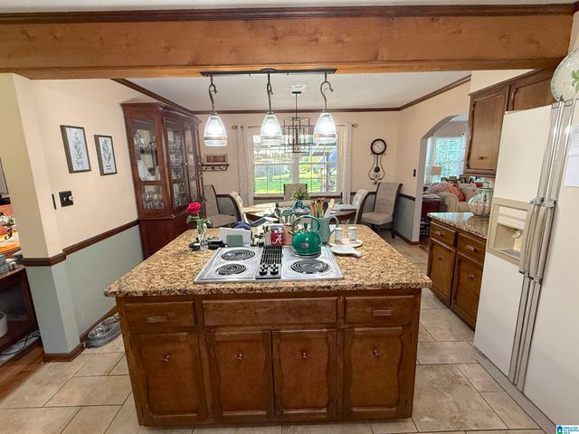 621 PINEVIEW DRIVE, Brookside, AL 35214