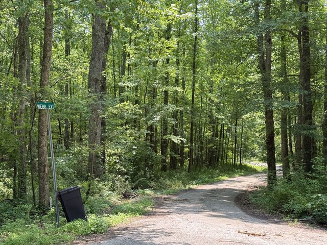 160 Webb Rd Ext, Summertown, TN 38483