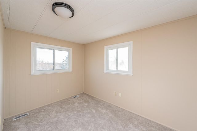 19820 Ivey Road, Chelsea, MI 48118