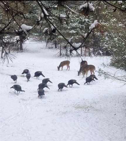 19820 Ivey Road, Chelsea, MI 48118