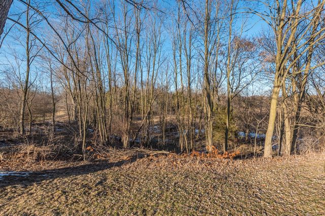 19820 Ivey Road, Chelsea, MI 48118
