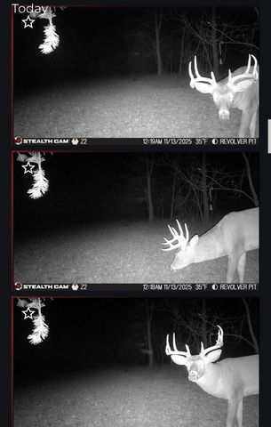 19820 Ivey Road, Chelsea, MI 48118