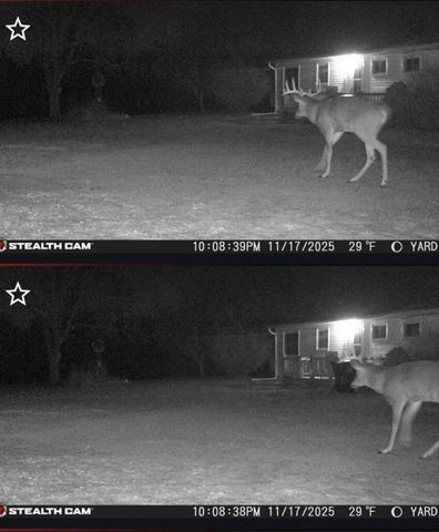 19820 Ivey Road, Chelsea, MI 48118